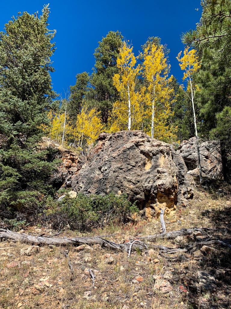 Golden aspens tower on rocky outcrops above Passage 40 of the Arizona Trail among green-needled ponderosa pines and a brilliant blue sky