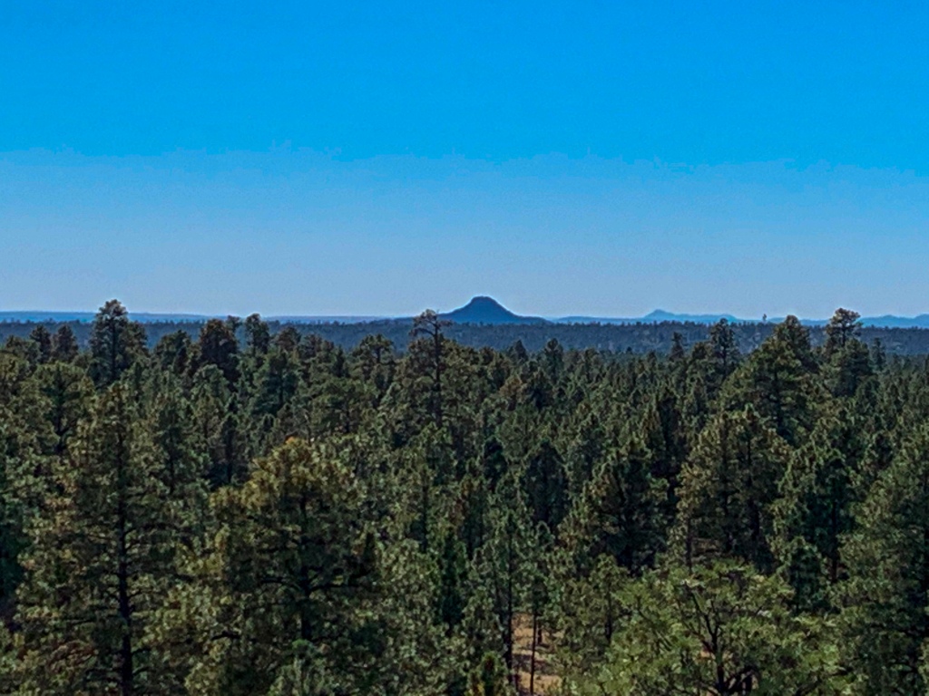 Shadows of buttes stand out above a sea of green ponderosa trees and a brilliant blue sky viewed from the top of the Grandview Lookout Tower along the Arizona Trail