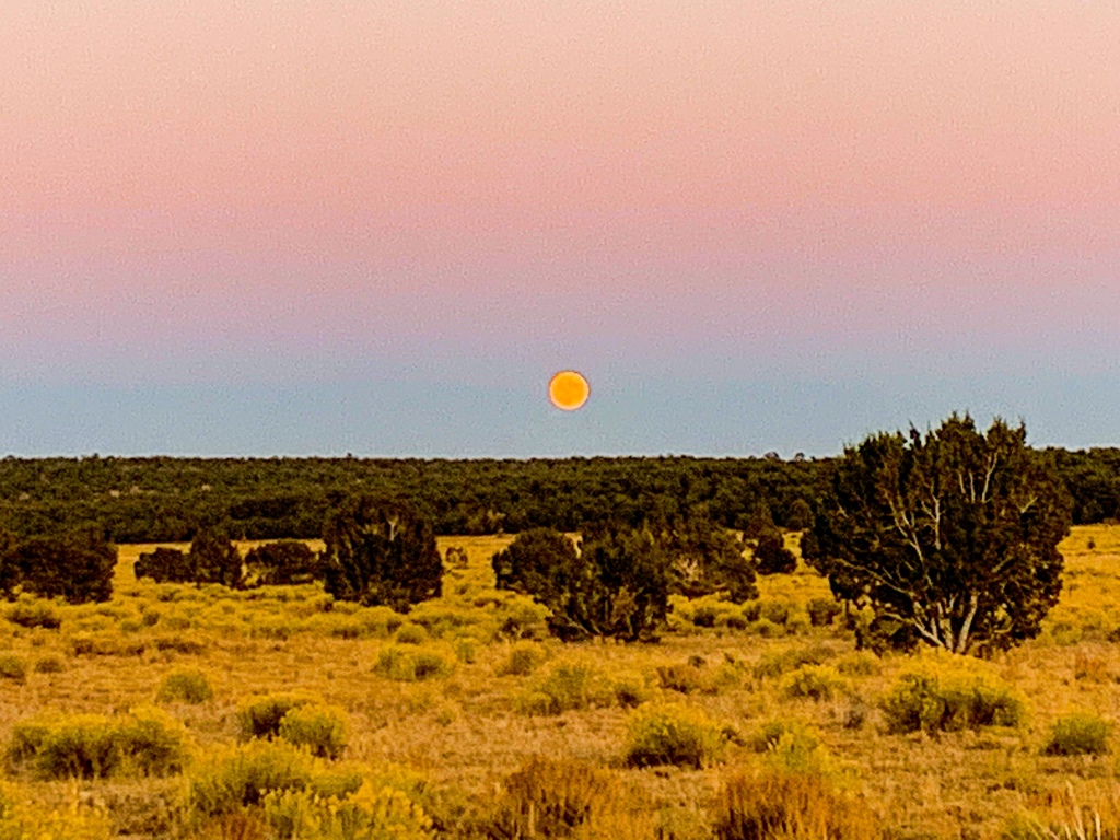 A full moon rises through the dark umbra (shadow of the earth ) and into the pink Belt of Venus at sunset.  Golden ricegrass fills in the meadow along the Arizona Trail.  
