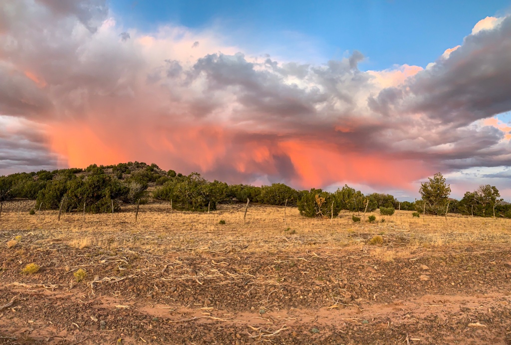 A spectacular Arizona Trail sunset, with virga illuminated by pink sunlight falling toward a tree-clad hill from a white cloud with blue sky above.  