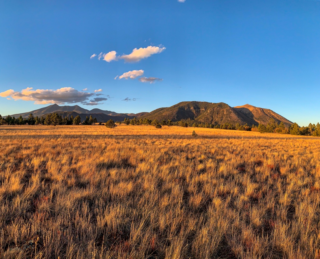 Golden ricegrass and glowing clouds stand out against a brilliant blue sky and green mountains along the Arizona Trail