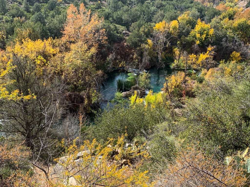 Fall foliage adds splashes of gold and orange color to the blue water and greenery in Fossil Canyon within the Fossil Springs Wilderness area.