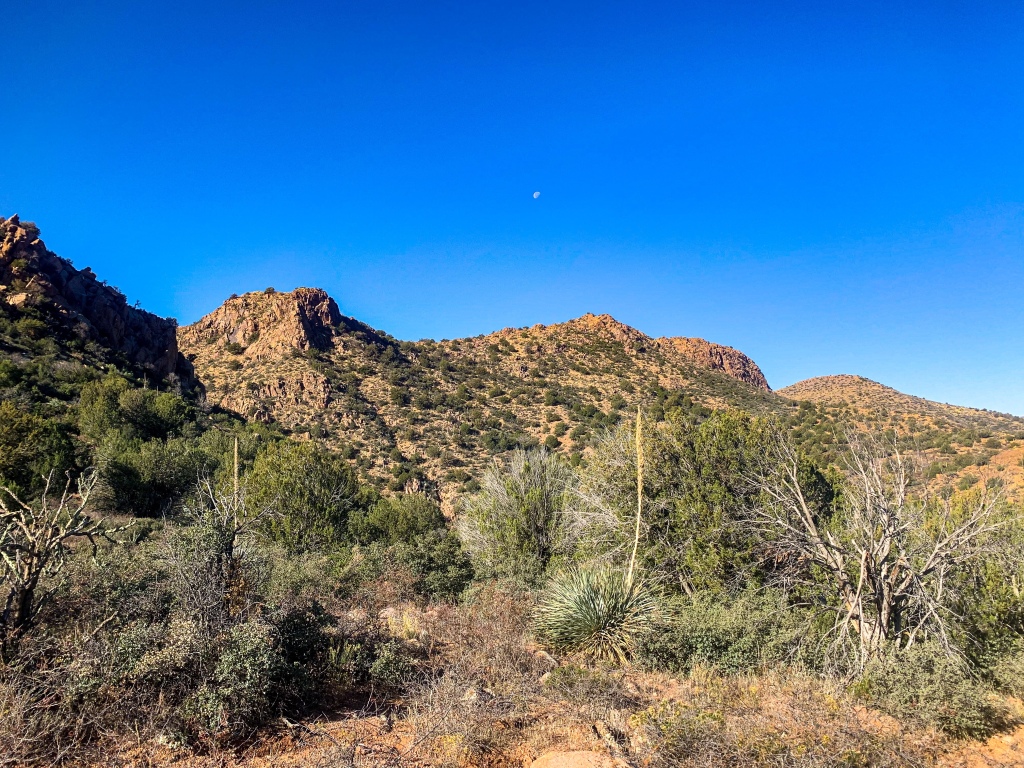 Rugged brown hills dotted with green desert vegetation rising into the cloudless sky with the moon above along the Arizona Trail.